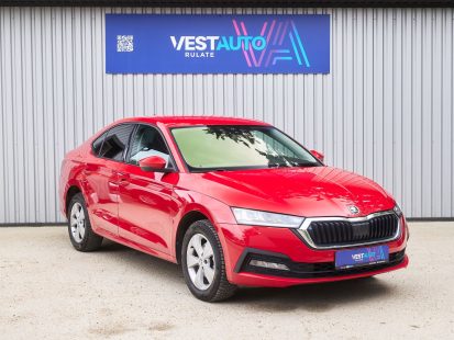 Vest Auto 19 images2048x1360 73